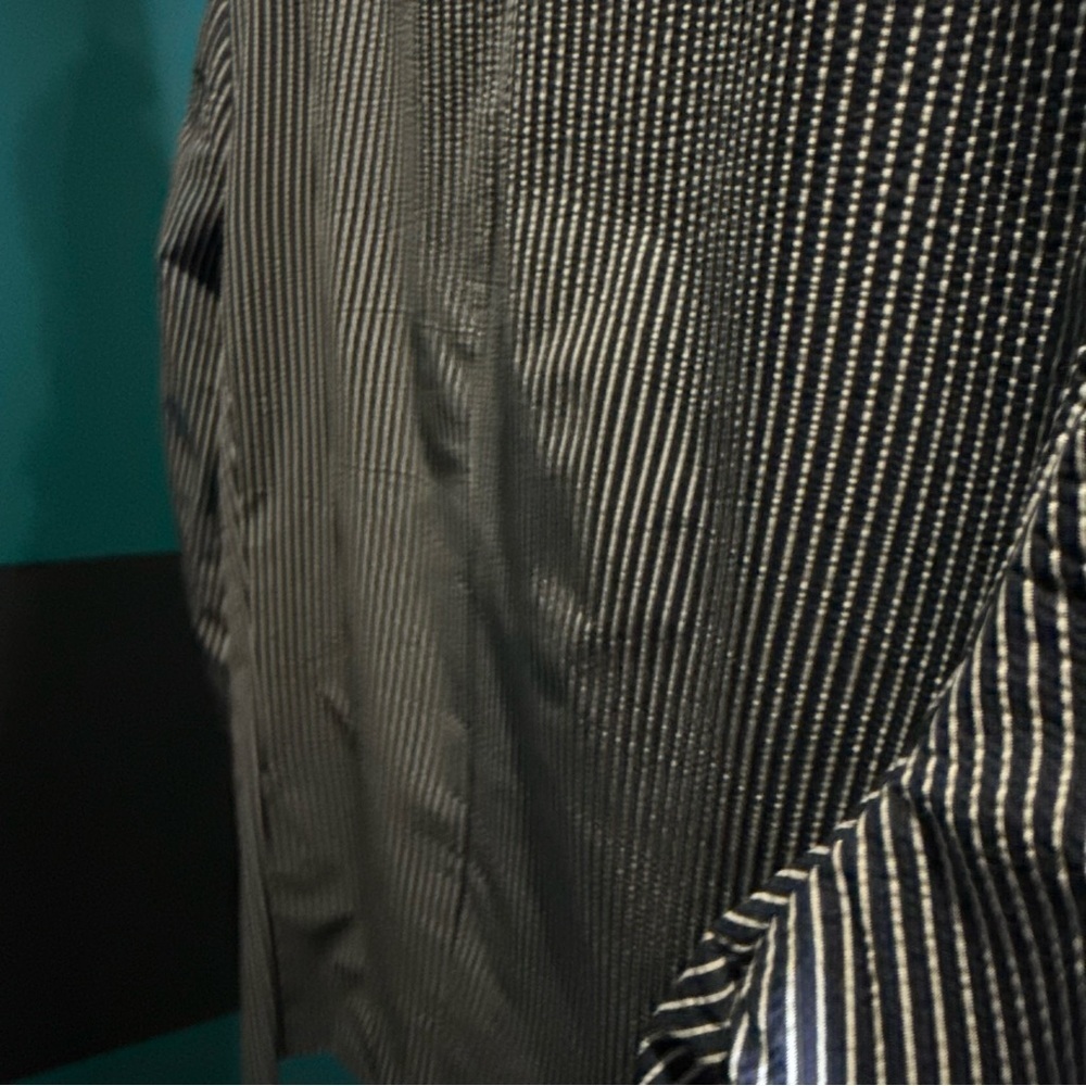 Ermenegildo Zegna Navy and White Pinstripe Blazer 100% SILK - Picture 4 of 16